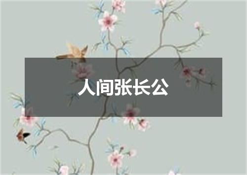 人间张长公