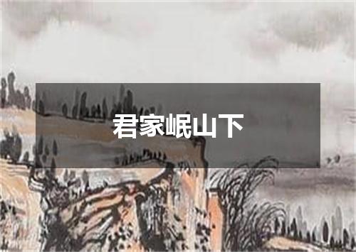 君家岷山下