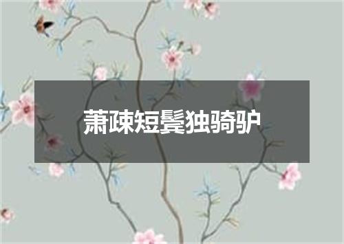 萧疎短鬓独骑驴