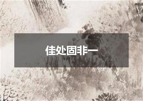 佳处固非一