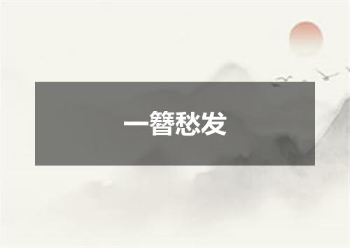 一簪愁发