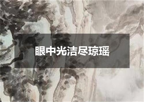 眼中光洁尽琼瑶