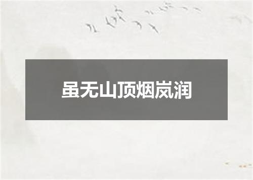 虽无山顶烟岚润