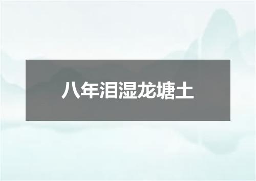 八年泪湿龙塘土