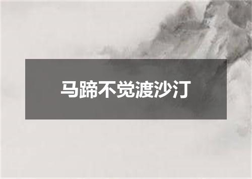 马蹄不觉渡沙汀