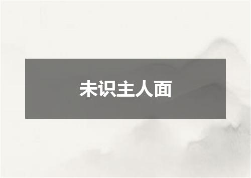 未识主人面
