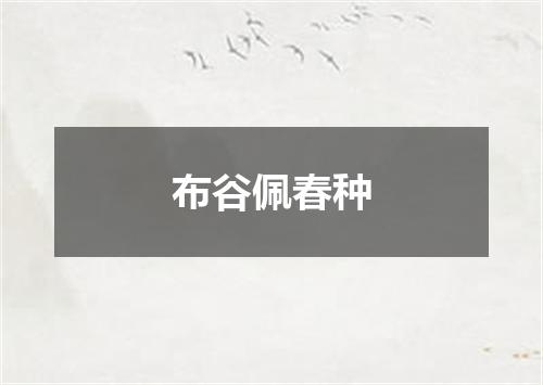 布谷佩春种