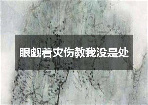 眼觑着灾伤教我没是处