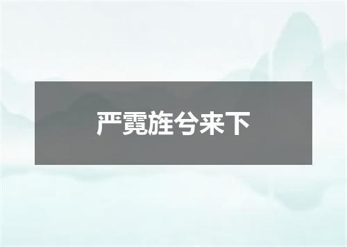 严霓旌兮来下
