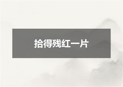 拾得残红一片