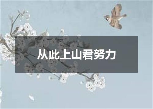 从此上山君努力