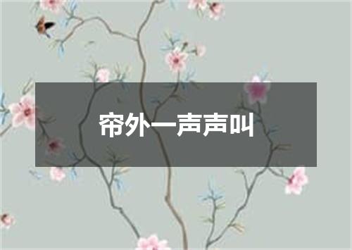 帘外一声声叫