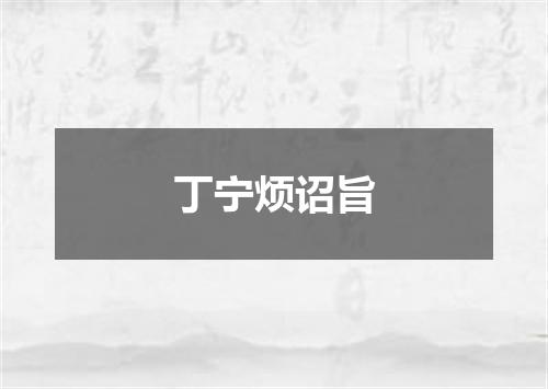 丁宁烦诏旨