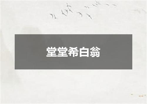 堂堂希白翁