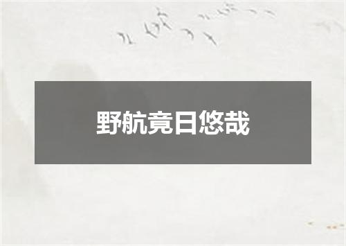 野航竟日悠哉