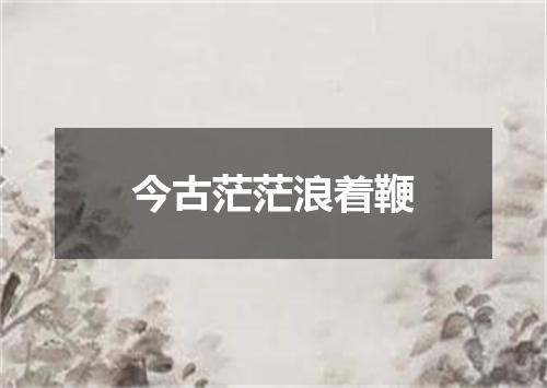 今古茫茫浪着鞭