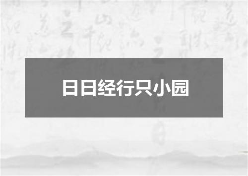日日经行只小园
