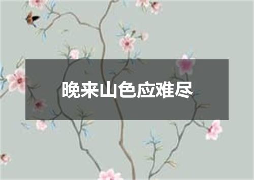 晚来山色应难尽