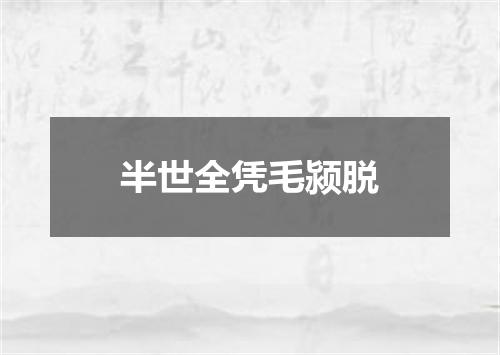 半世全凭毛颍脱