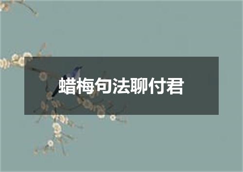 蜡梅句法聊付君