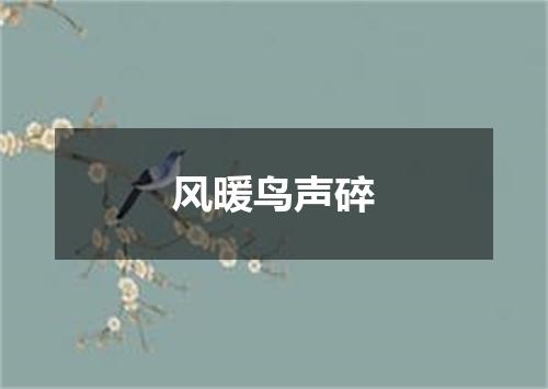 风暖鸟声碎