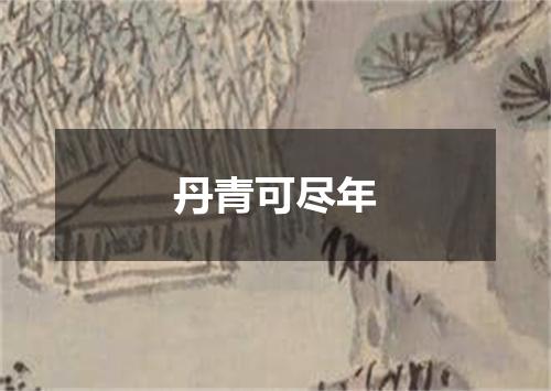 丹青可尽年