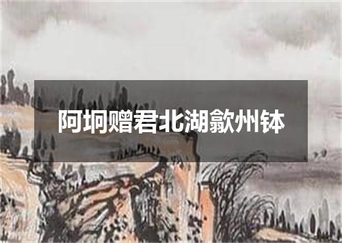 阿坰赠君北湖歙州钵