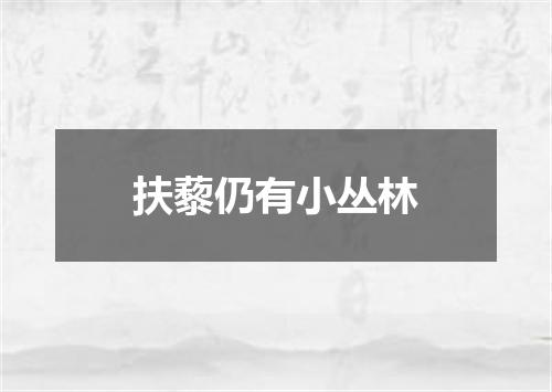 扶藜仍有小丛林