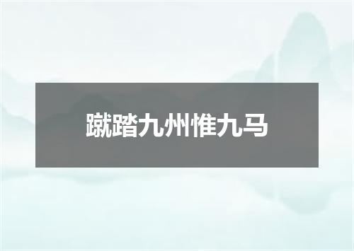 蹴踏九州惟九马