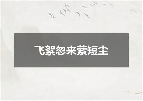 飞絮忽来萦短尘