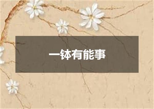一钵有能事