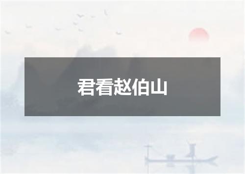 君看赵伯山