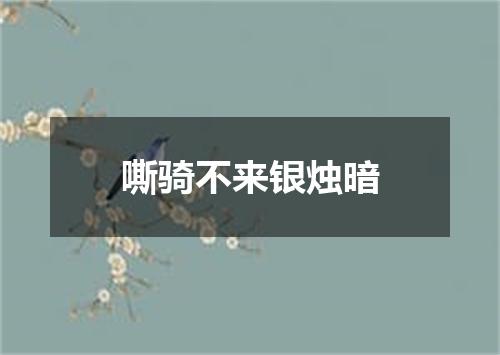 嘶骑不来银烛暗