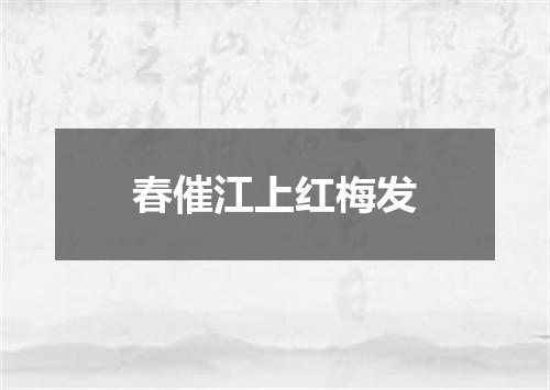 春催江上红梅发