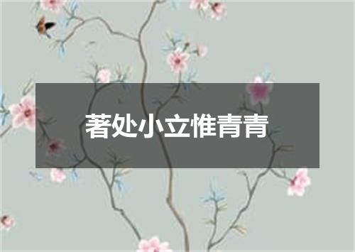 著处小立惟青青