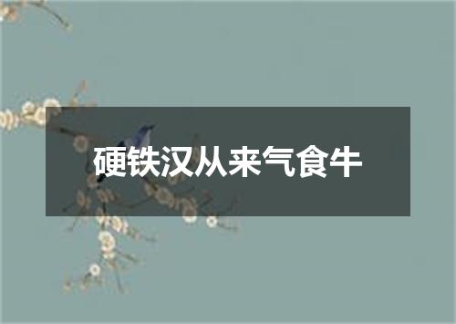 硬铁汉从来气食牛