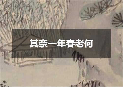 其奈一年春老何