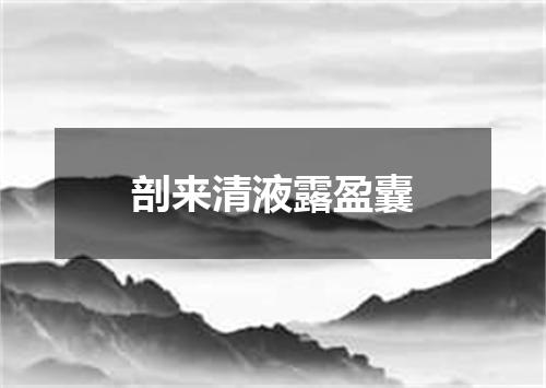 剖来清液露盈囊