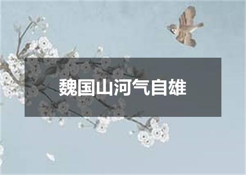 魏国山河气自雄