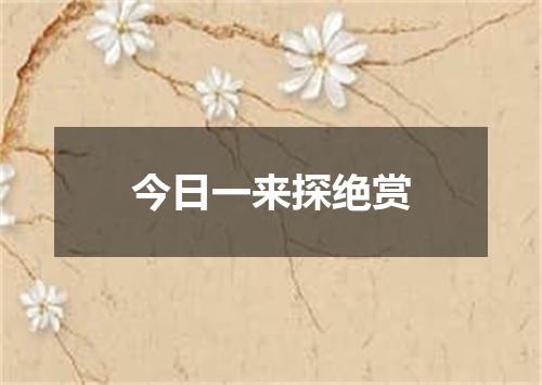 今日一来探绝赏