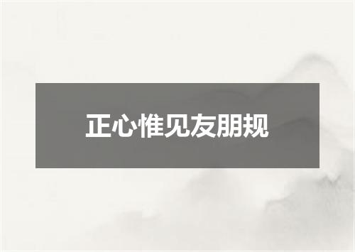 正心惟见友朋规