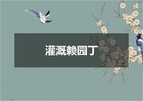 灌溉赖园丁