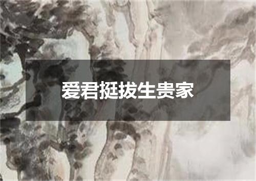 爱君挺拔生贵家