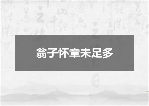 翁子怀章未足多