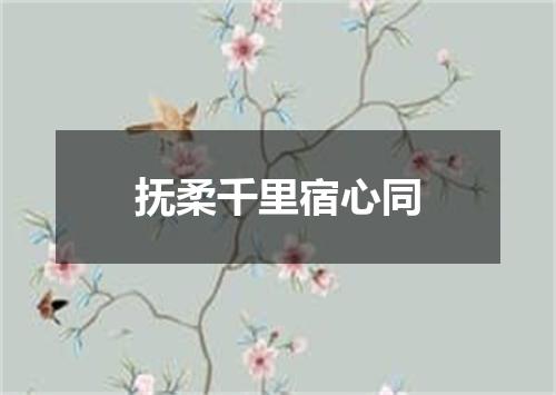 抚柔千里宿心同
