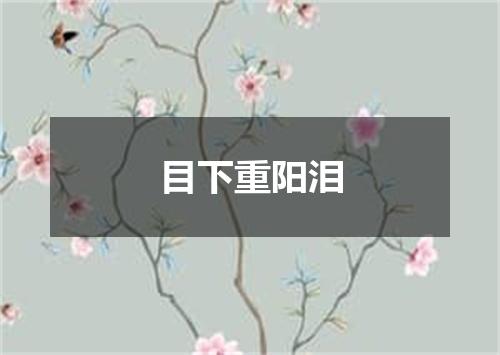 目下重阳泪