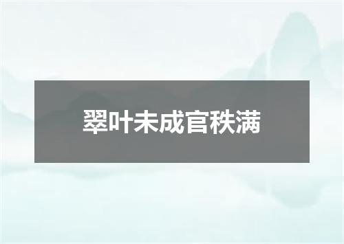 翠叶未成官秩满