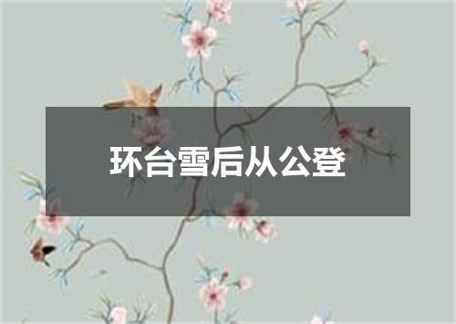 环台雪后从公登