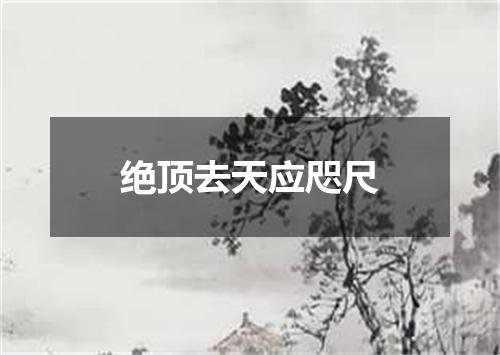 绝顶去天应咫尺
