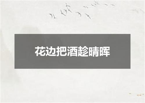 花边把酒趁晴晖